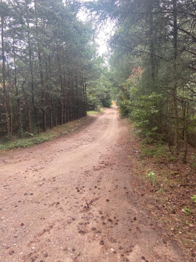 Domek Nad Jeziorem Kamien 2A Kowalewo Экстерьер фото